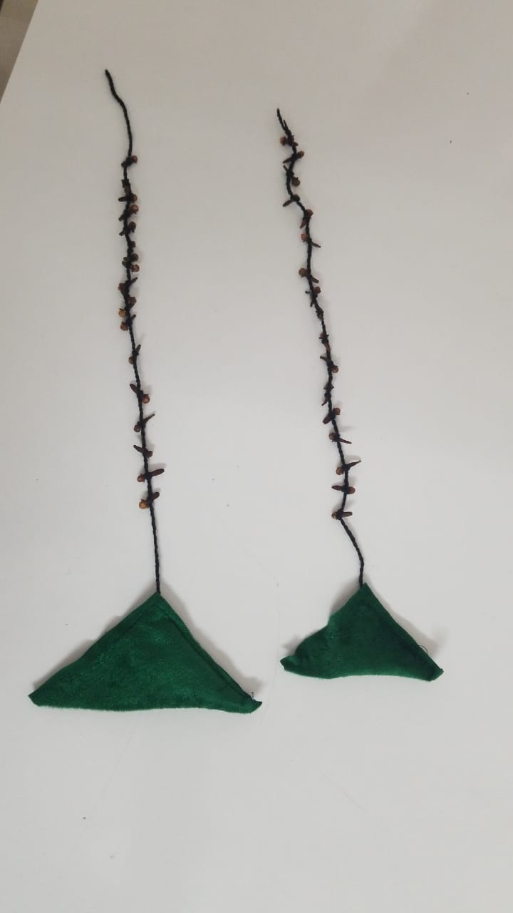 Certification Ceremony